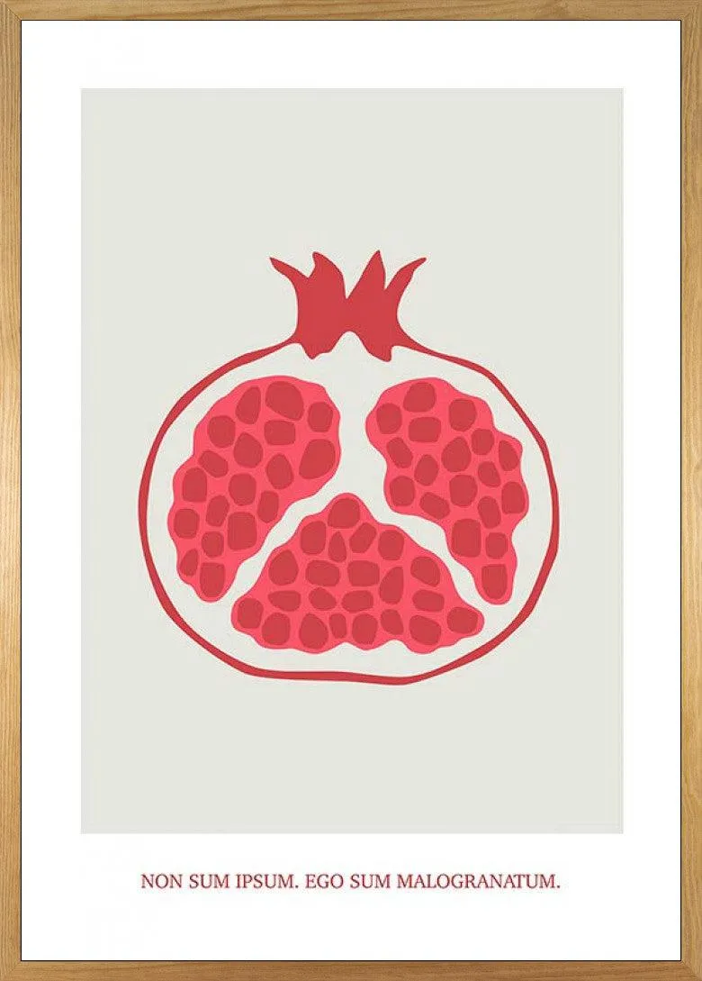 Cultivated Pomegranate Art Poster