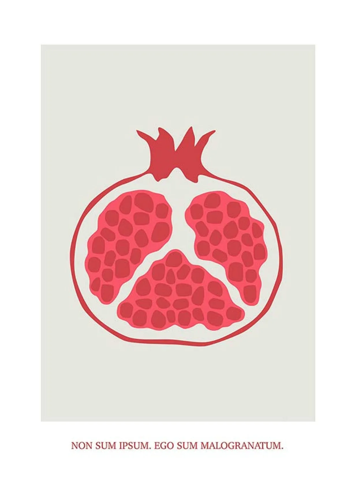 Cultivated Pomegranate Art Poster