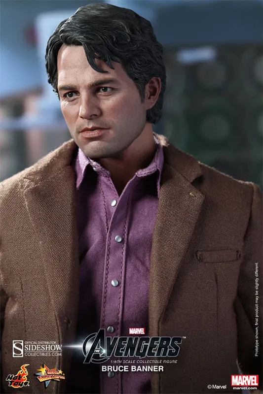 Hot Toys 1/6 Bruce Banner Sixth Scale Figure MMS229