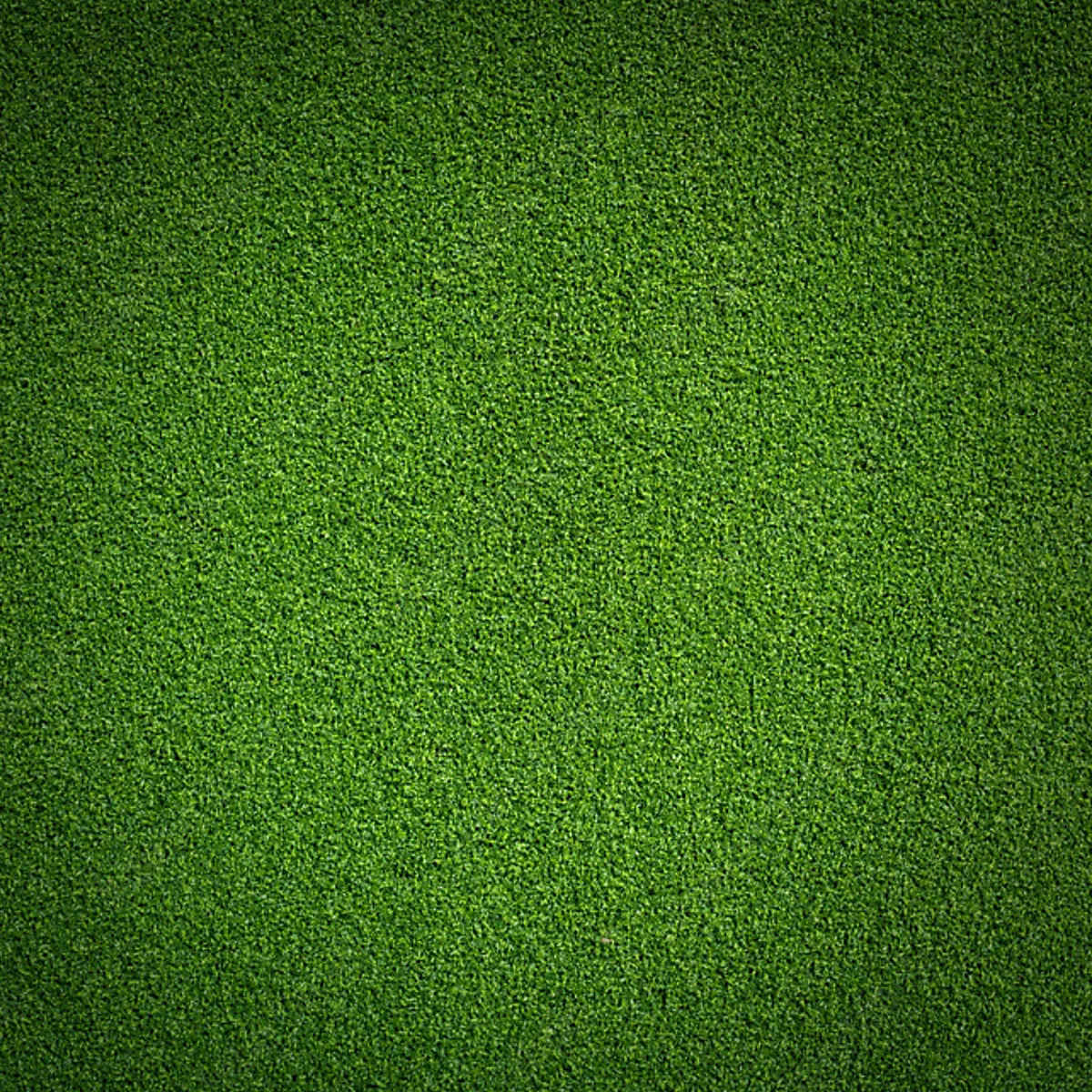 Synthetic Training Turf – Dark Green, 10m & 20m