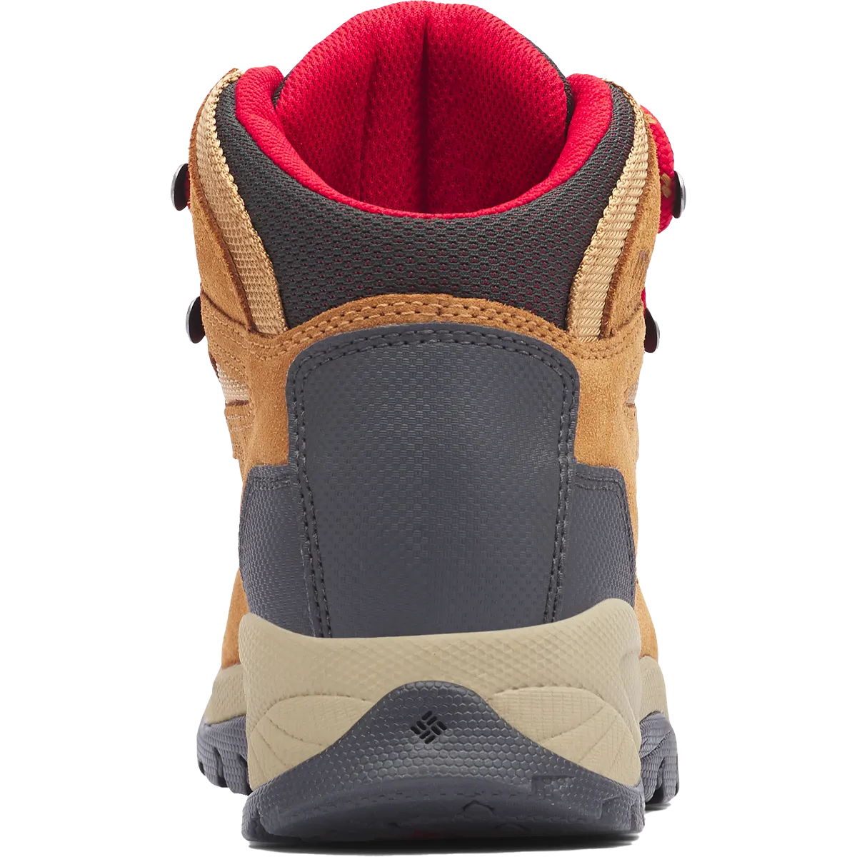 Women's Newton Ridge Plus Waterproof Amped