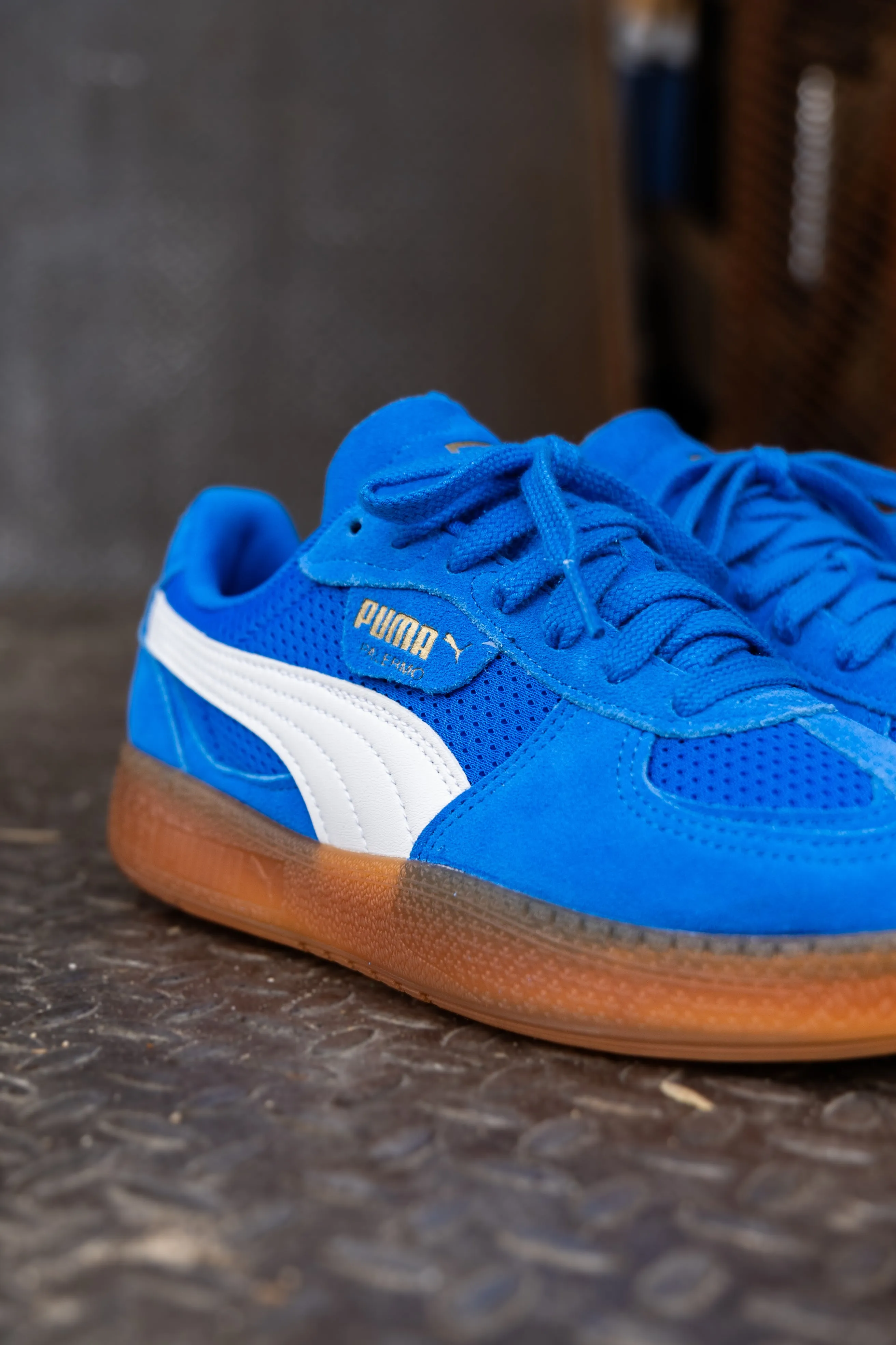 Women's Puma Palermo Moda Vintage (Hyperlink Blue/Gum)