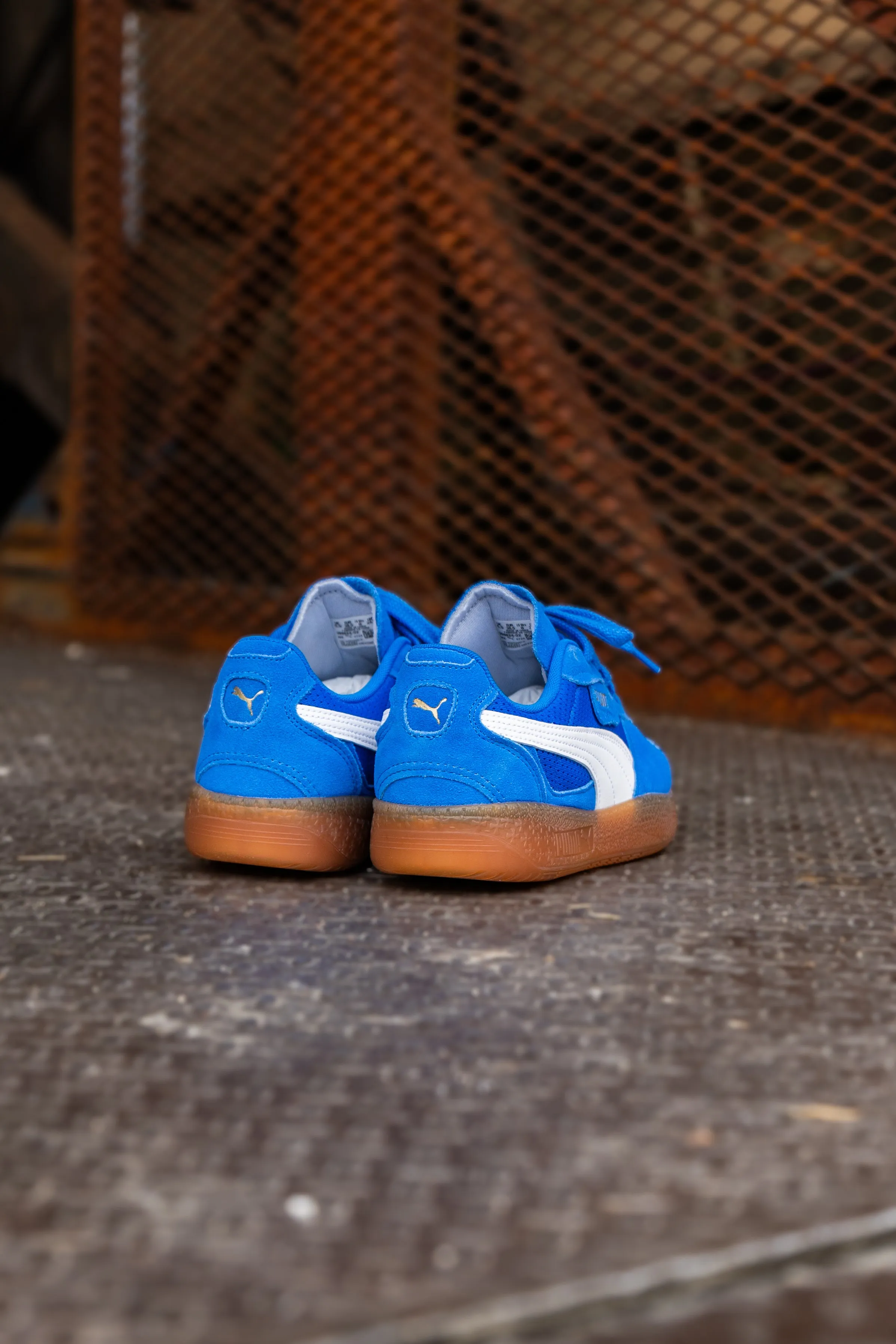 Women's Puma Palermo Moda Vintage (Hyperlink Blue/Gum)